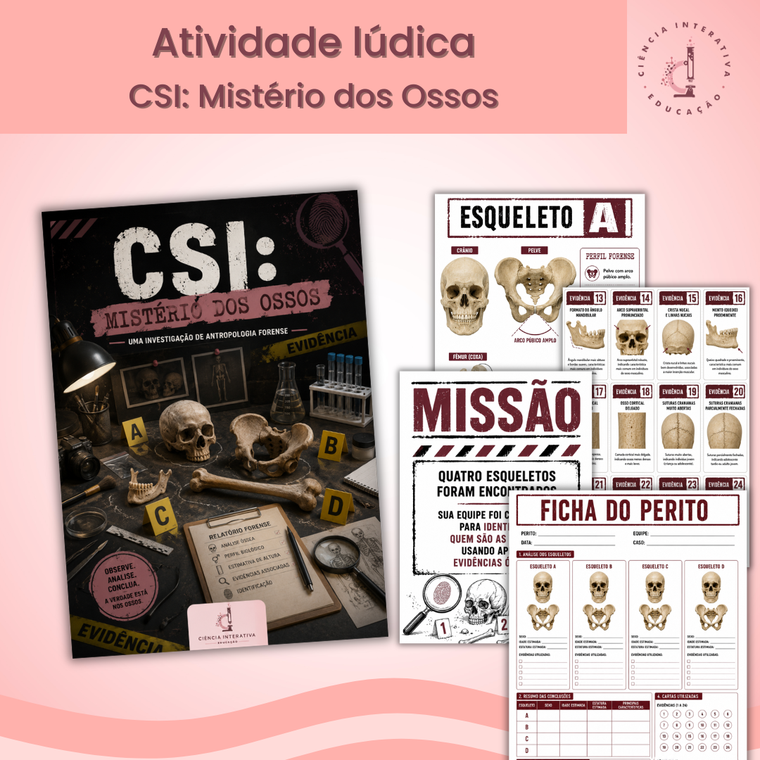 (SITE) - Designers_produtos (14) CSI: Mistério dos Ossos - Imagem 1