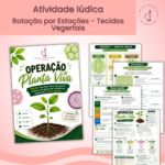 Rotação por Estações - Tecidos vegetais