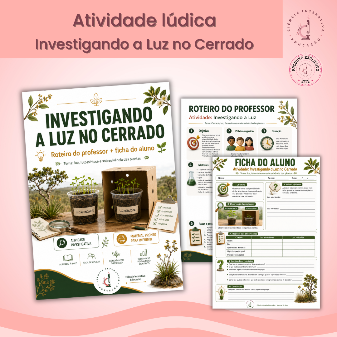 (SITE) - Designers_produtos (23) Investigando a Luz no Cerrado - Imagem 1