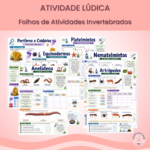 Folhas de Atividades: Animais Invertebrados