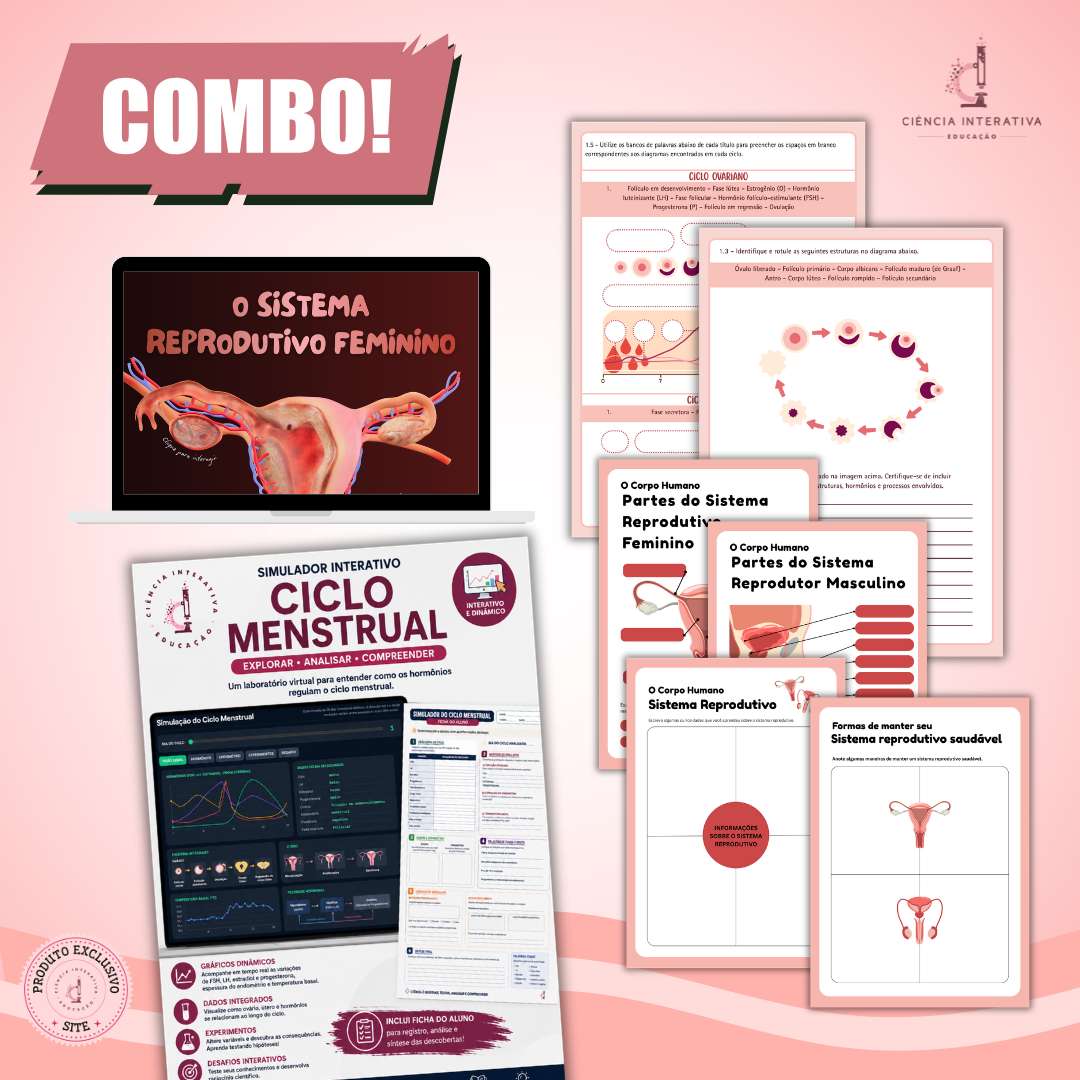 (SITE) - Designers_produtos (35) Combo - Sistema Reprodutor e Ciclo Menstrual - Imagem 1