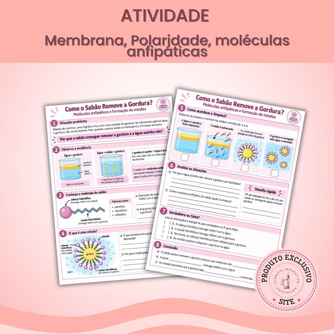(SITE) - Designers_produtos (4) Atividade membrana, polaridade, moléculas - Imagem 1