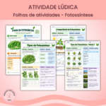 Folhas de atividades - Fotossíntese