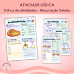 Folhas de Atividades: Respiração Celular