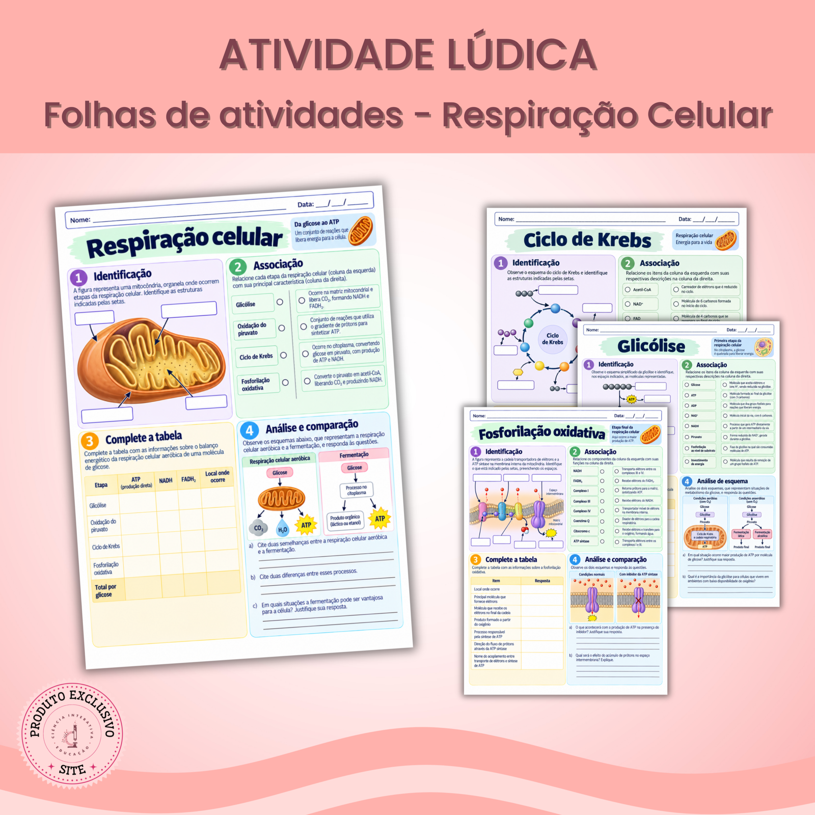(SITE) - Designers_produtos (45) Folhas de Atividades: Respiração Celular - Imagem 1