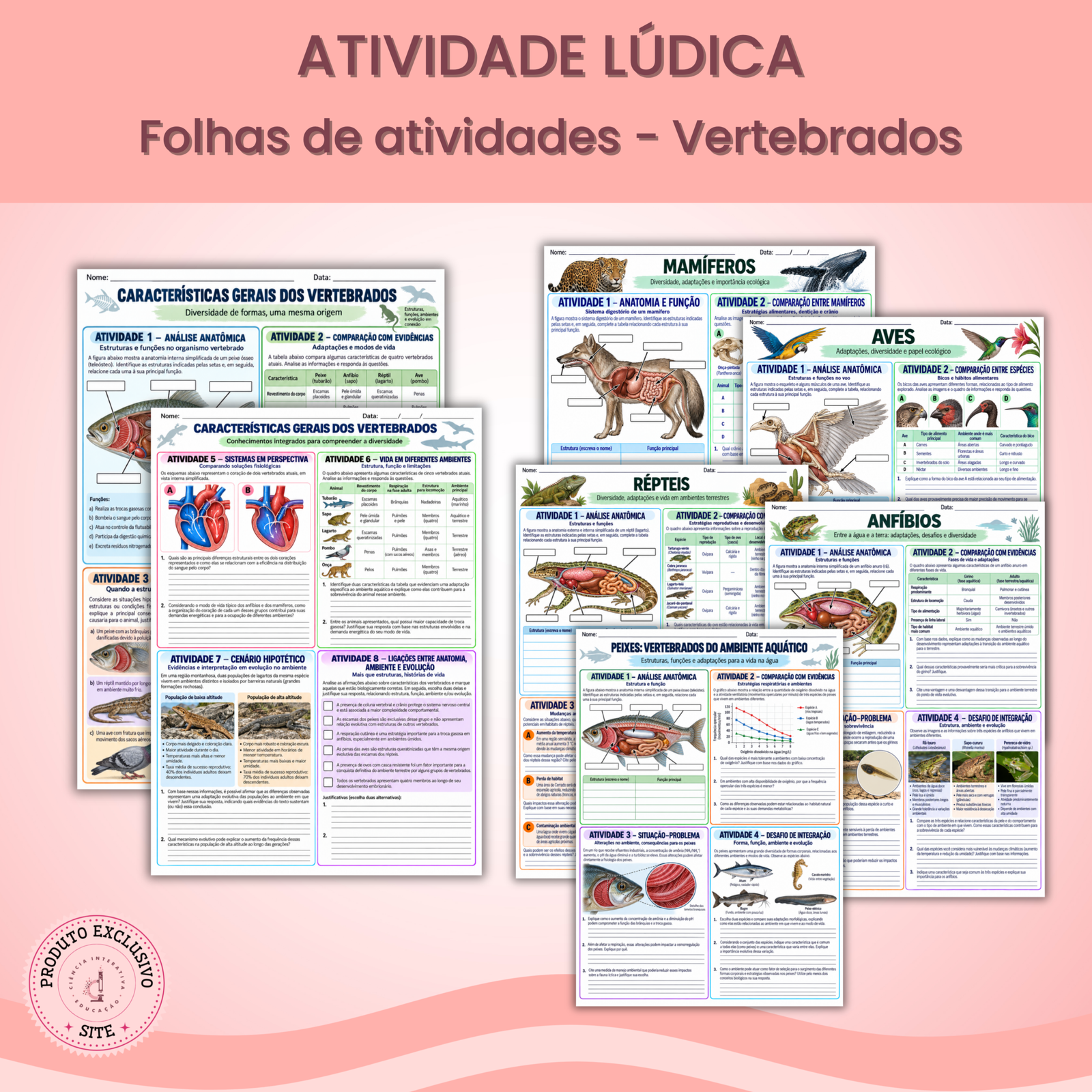 (SITE) - Designers_produtos (48) Folhas de Atividades - Vertebrados - Imagem 1