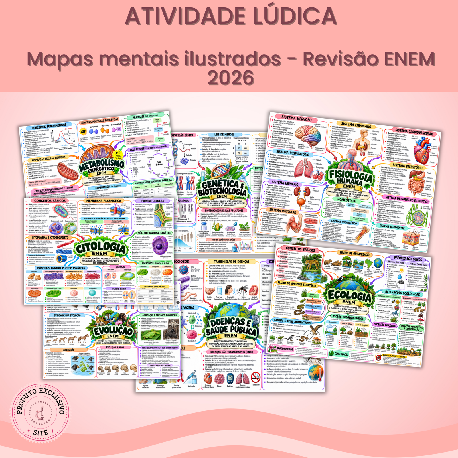 (SITE) - Designers_produtos (50) Mapas mentais ilustrados - ENEM 2026 - Imagem 1